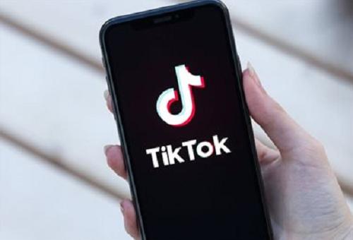 Tiktok Pet Smart Technology Solution Interactive Innovation 