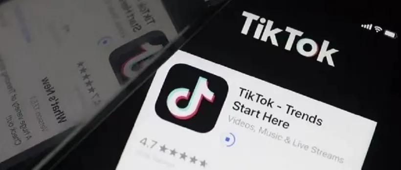 TikTok Felt-Making Videos Are Warm and Healing 